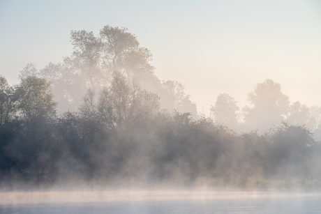 Misty mornings