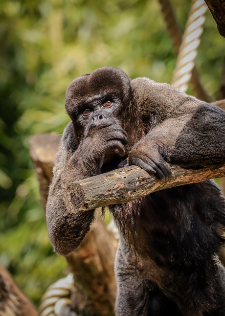 When you realize your whole life is really just a side quest