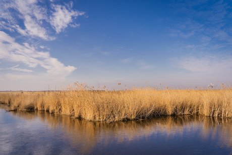 Ilperveld