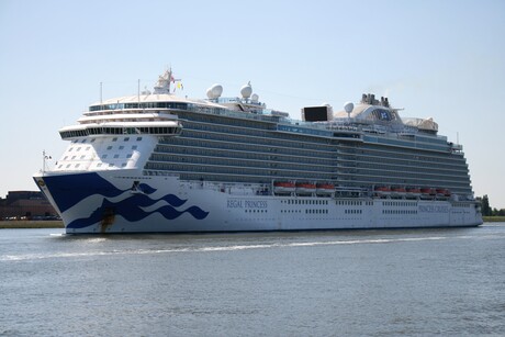 Cruiseship.