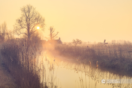 Ontwaken in de mist en het gouden uur