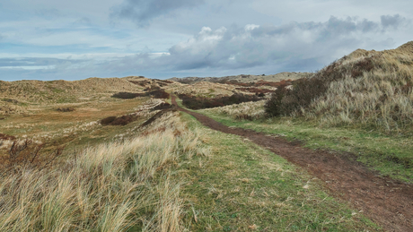 Rondje duinen bij Egmond