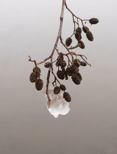 Zodra je kijkt, is er zo veel te zien