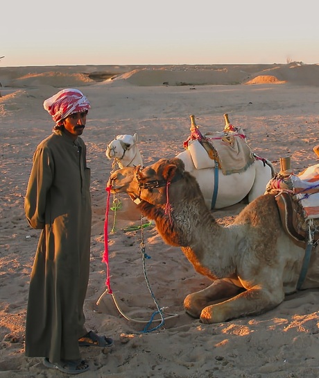 Proud of his camels