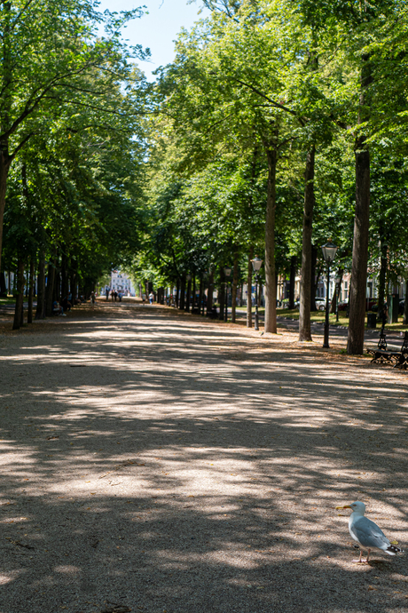 Lange Voorhout lekker voor me zelf.....