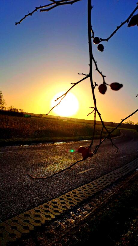 Ochtendwandeling