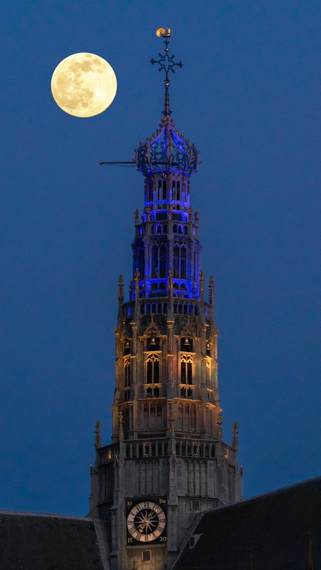 Grote of Sint-Bavokerk