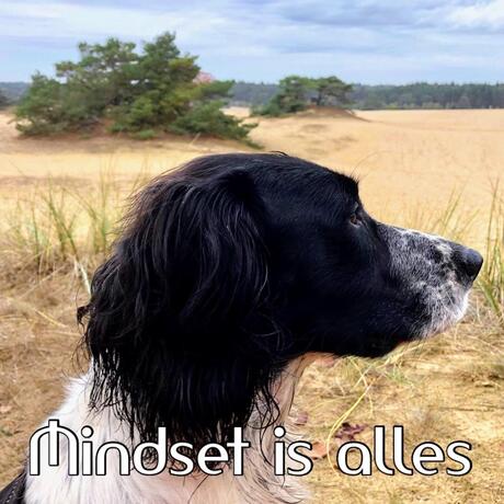 Mindset is alles