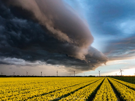 Shelfcloud trekt over Nederland