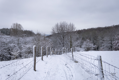 Gelukkig heb ik de foto's nog..