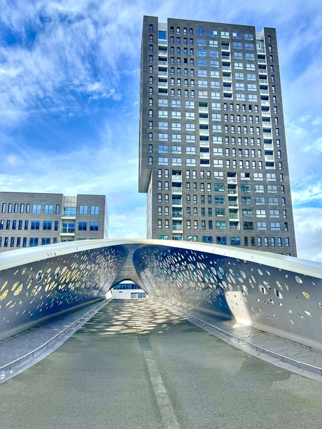 fietsers- en voetgangersbrug