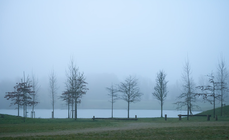 Foggy scenery