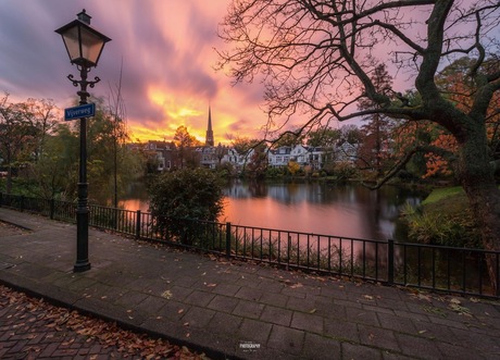 Kralingen Rotterdam