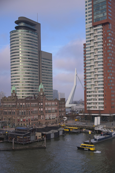 rotterdam