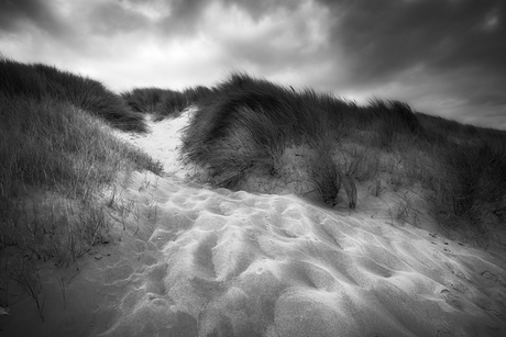 De duinen 