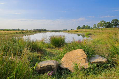 Maas. Hoogwatergeul bij Broekhuizenvorst.