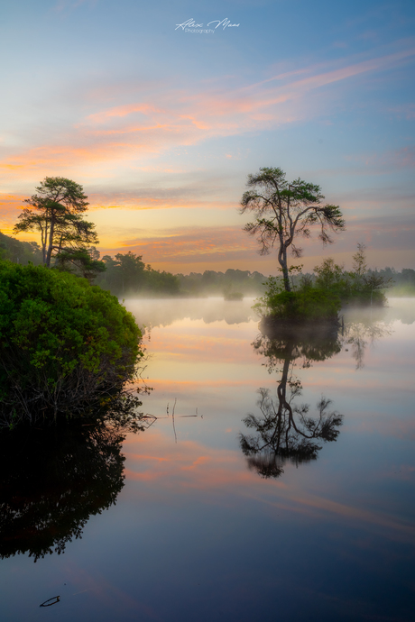 Kleurrijke zonsopgang
