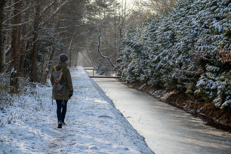 Winterse Wandeling