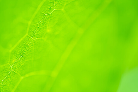 Texture