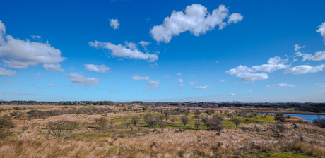 Amsterdamse Waterleidingduinen