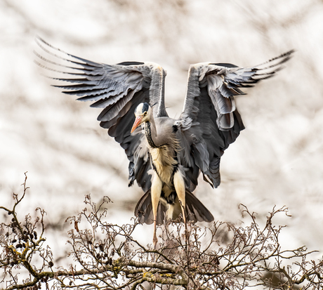 "sportschool reiger".