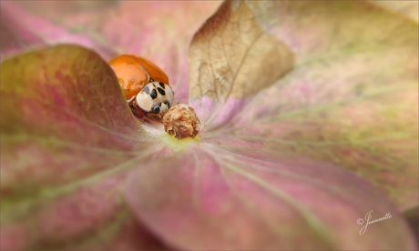 Verstopt............