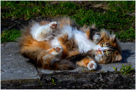 Lekker relaxen in het zonnetje.