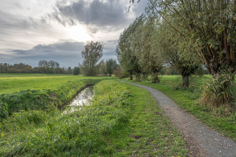 Paadje in Opwierde