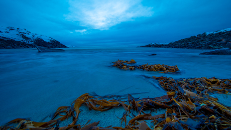 Winters Lofoten en Vesterålen