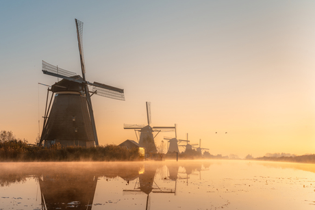 Ochtendgloed bij de molens in Kinderdijk