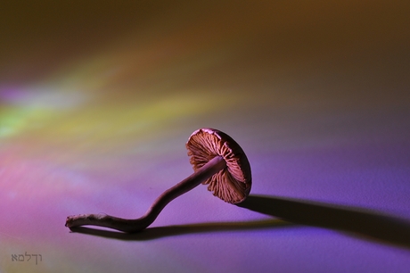 Effe lekker legge......