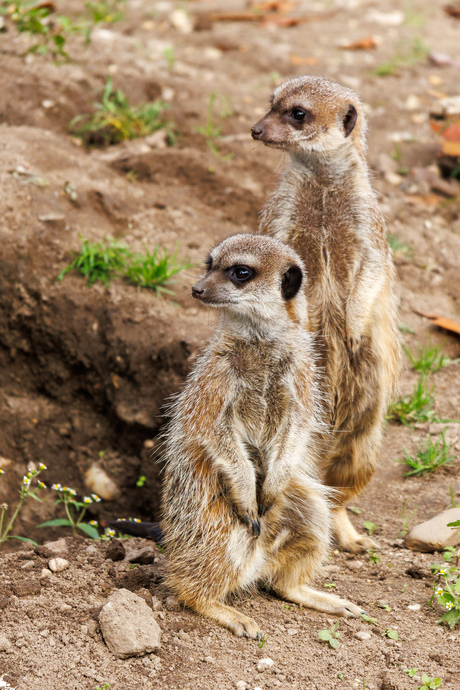 We houden alles in de gaten