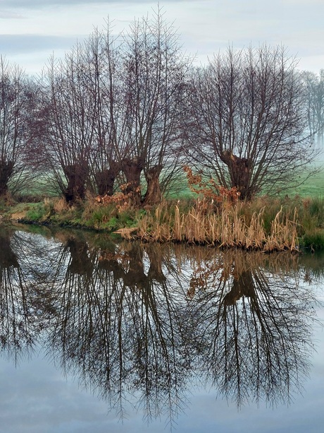 Blijft mooi spiegelbeeld