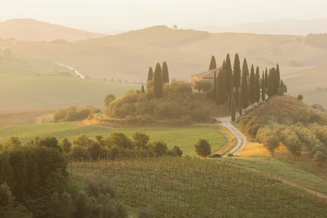 Golden Tuscany