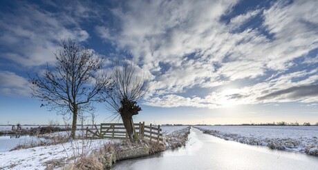 Sneeuwlandschap in de Krimpenerwaard