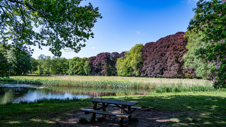Prachtige bomen en kleuren 