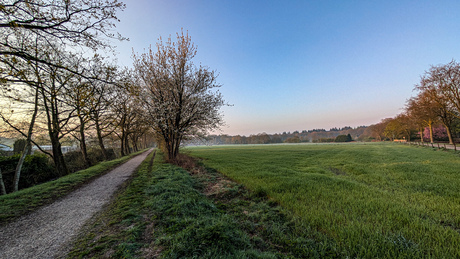 Ochtend landschap 