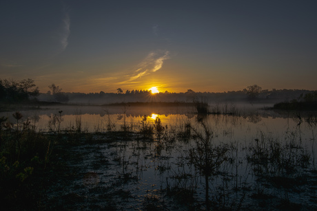 Goedemorgen.