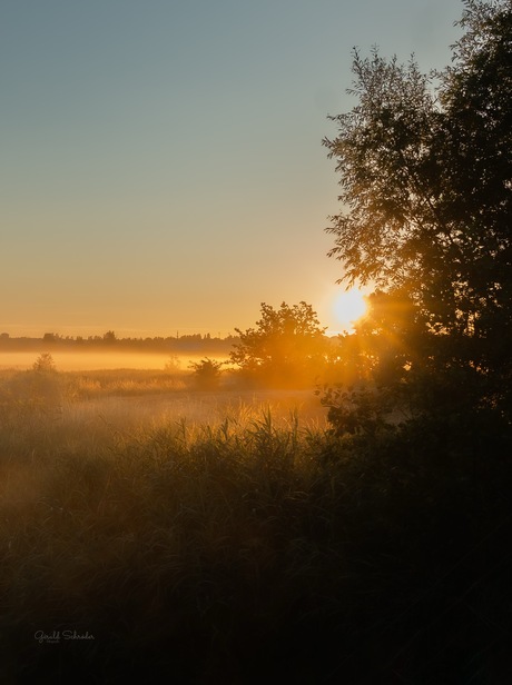 Kruibeekse polders