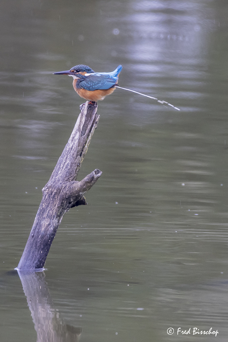 Ik heb schijt aan al die fotografen