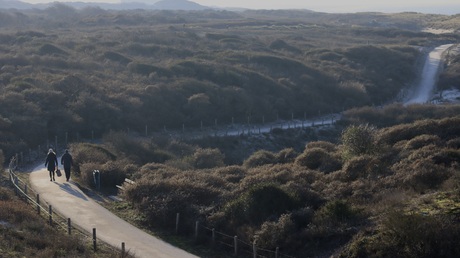 Chinese muur in de duinen