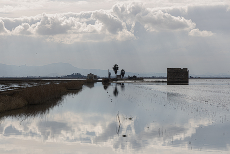 Albufera