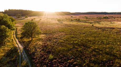 Blik over de heide