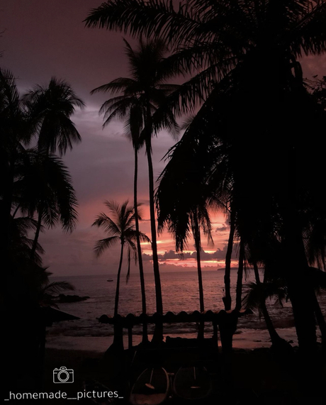 Zonsondergang onder de palmbomen