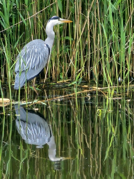 Spiegelbeeld vertel eens even...