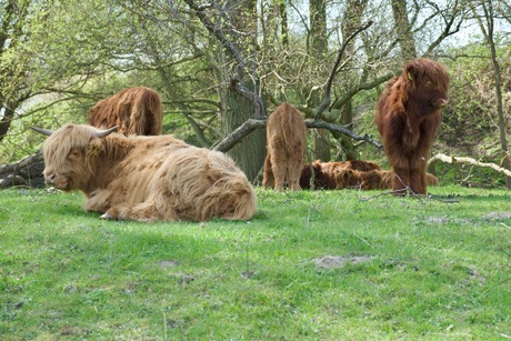 Lekker veilig bij elkaar