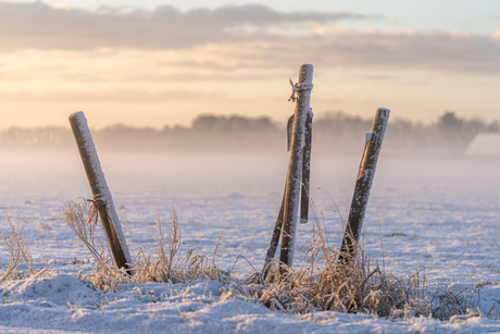 Winterse paaltjes