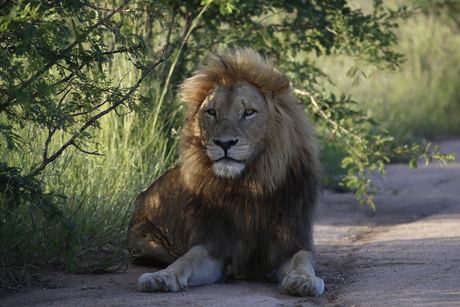 We hebben de aandacht