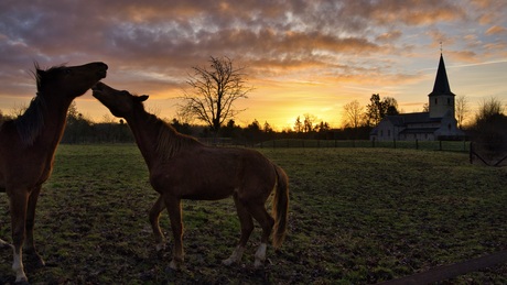 Zonsopgang 