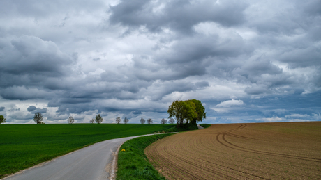 Rechts van de weg